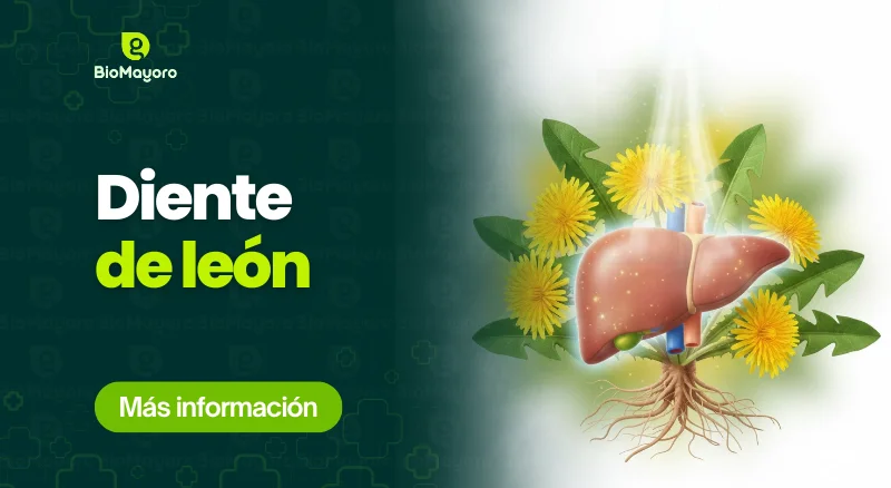 diente-de-leon