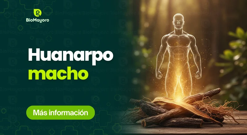 huanarpo-macho
