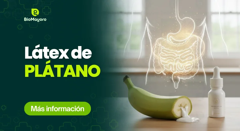 Látex de Plátano: El cicatrizante natural para la gastritis y úlceras