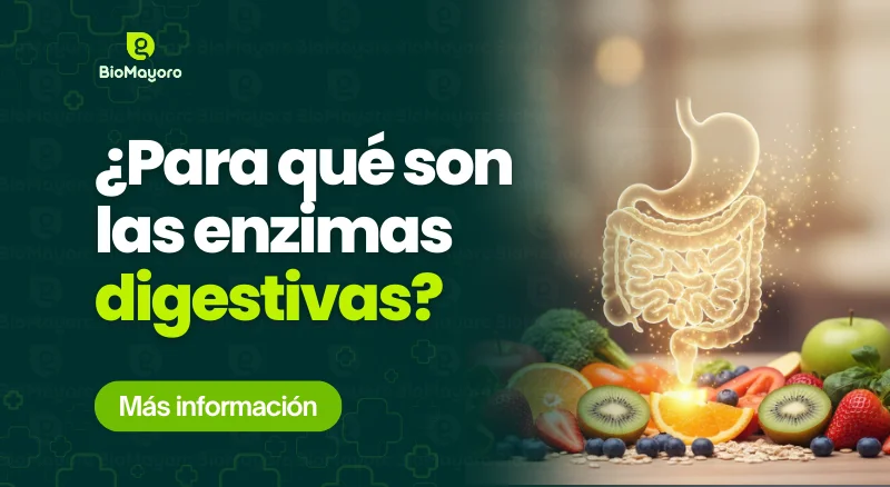 para-que-son-las-enzimas-digestivas